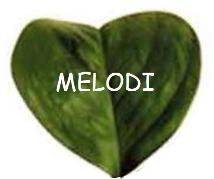 Treklöver blad 1.PNG